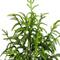 4ft. Unlit Norfolk Pine Artificial Potted Christmas Tree